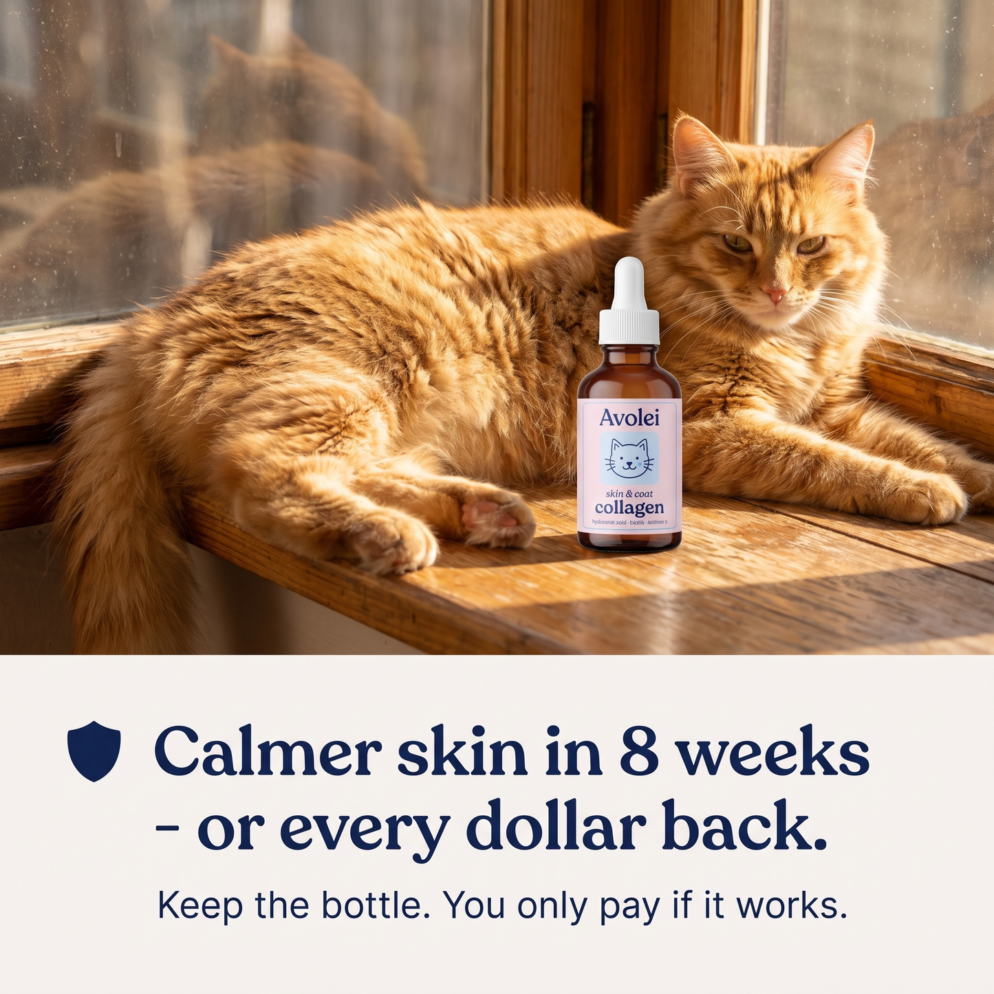 Pet Collagen Drops Itch