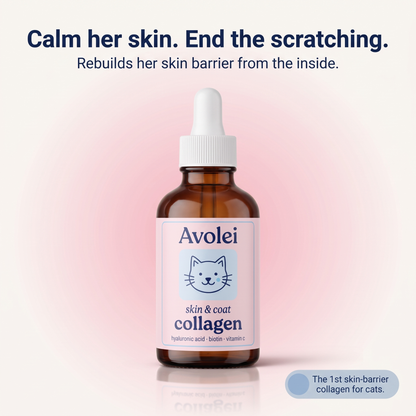 Pet Collagen Drops Itch