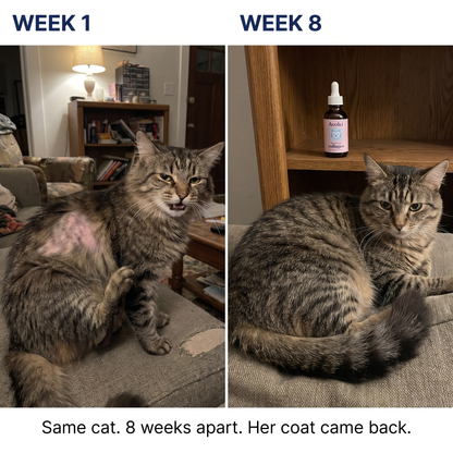 Pet Collagen Drops Itch