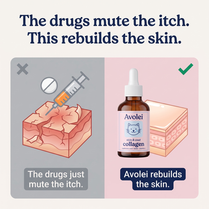 Pet Collagen Drops Itch