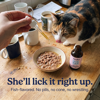 Pet Collagen Drops Itch