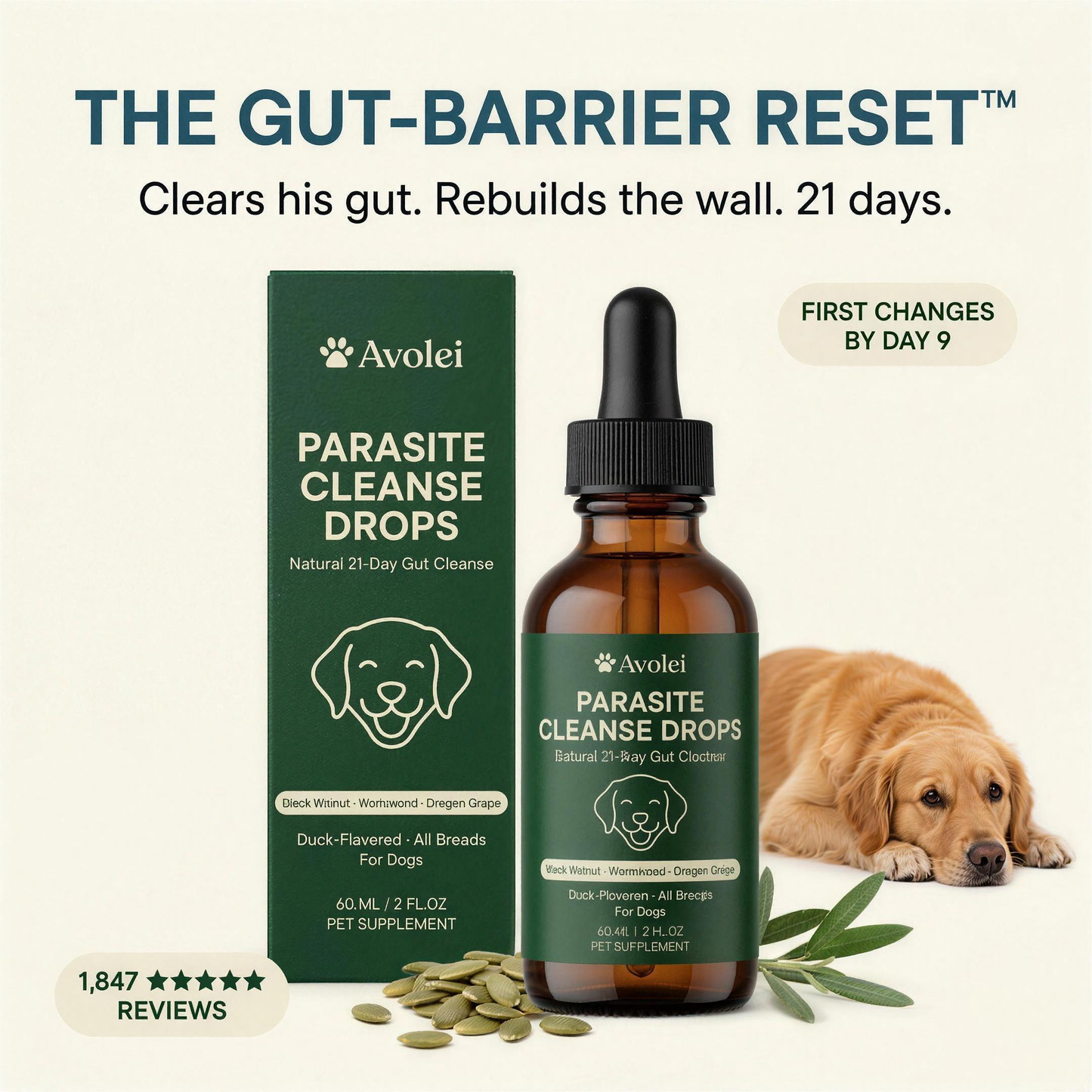 Avolei Gut Repair Drops