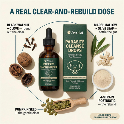 Avolei Gut Repair Drops