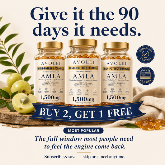 Avolei AMLA